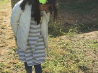 Garden Inquiry into&nbsp;Communities